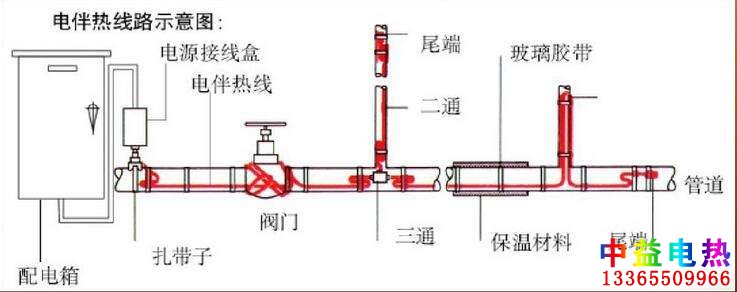 茄子视频成人免费观看係統圖